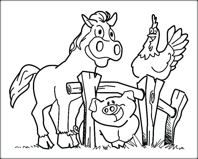 800x642 Farm Animal Coloring Pages Surprising Farm Animal Coloring Pages