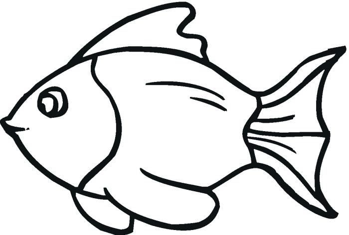 700x473 Fish Coloring Sheet Printable Fish Coloring Pages Free Printable