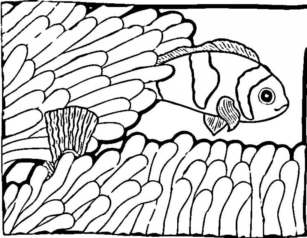 1024x793 Free Printable Fish Coloring Pages For Kids
