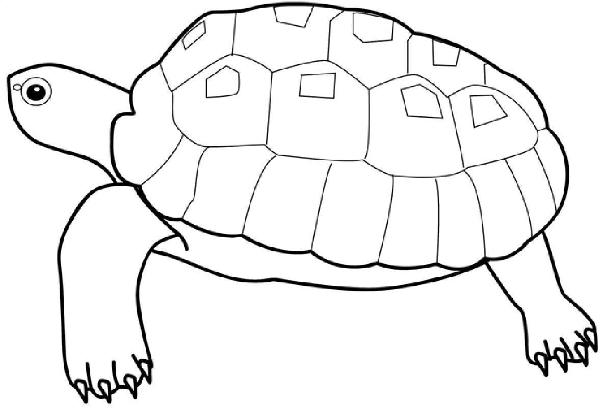 1183x800 Printable Fish Coloring Pages Online On Sheets Pictures Of For Chi