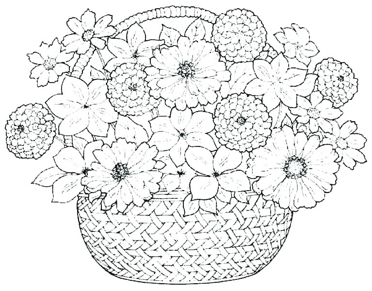 767x600 Coloring Pages Of Flowers Or Flower Coloring Pages Garden Flowers