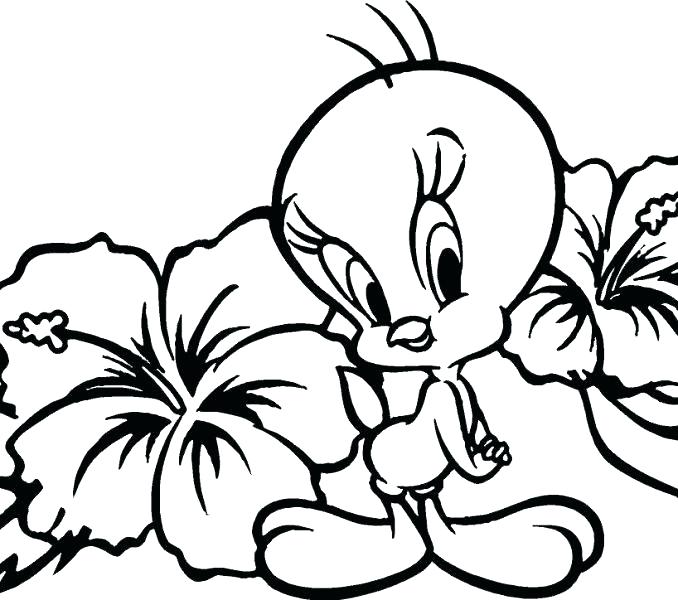 678x600 Flowers Coloring Pages Printable Flower Coloring Pages For Kids