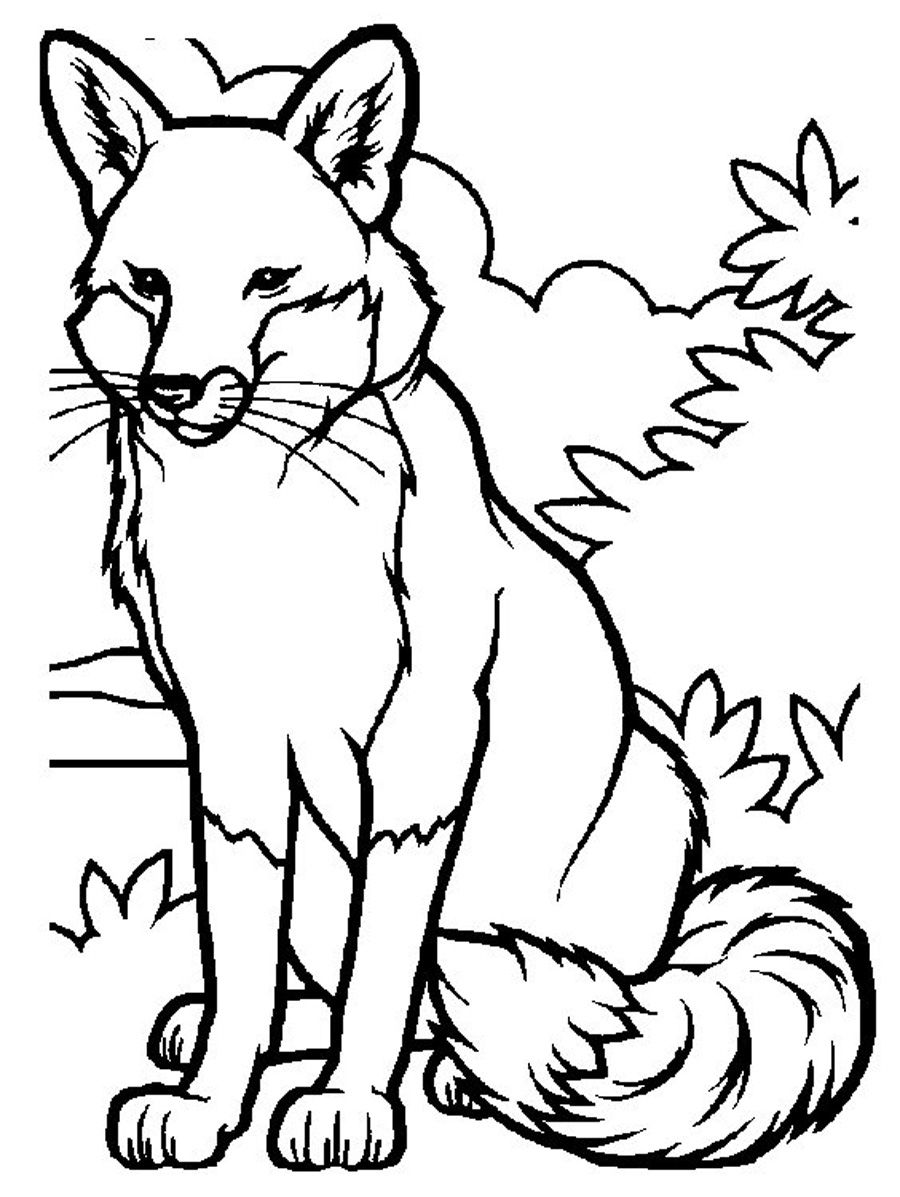 900x1197 Free Printable Fox Coloring Pages For Kids Foxes, Coloring Books