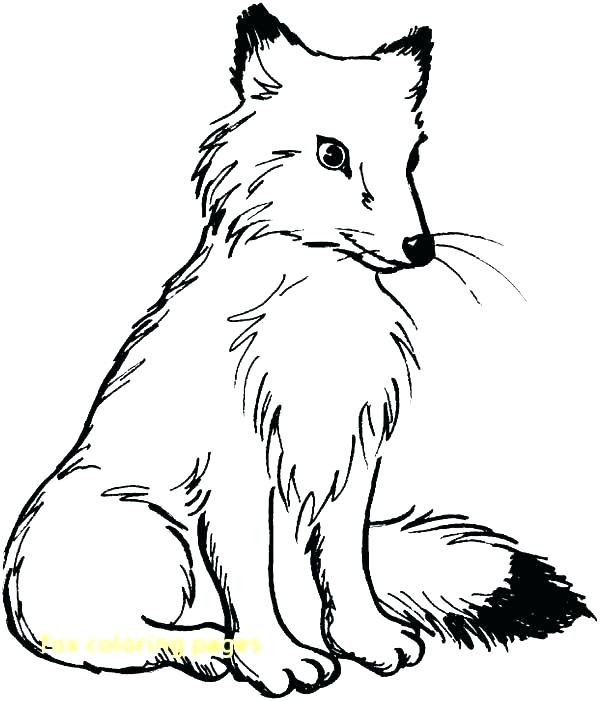 600x701 Fox Coloring Pages Free Printable