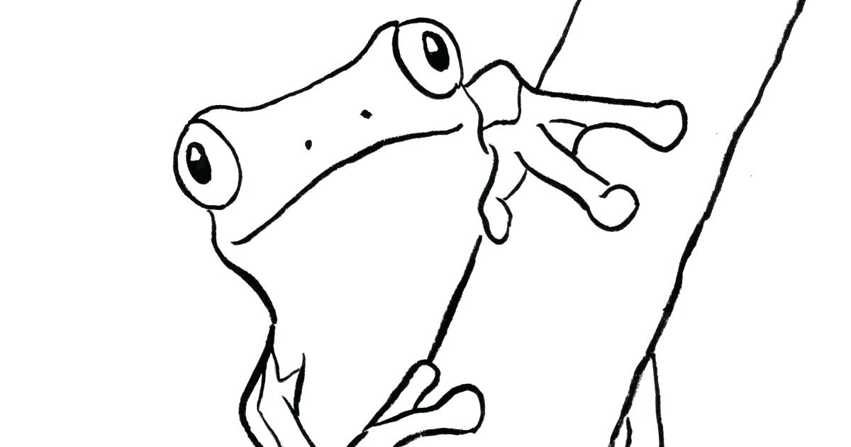 1200x630 Frog Coloring Pages New Tree Frog Coloring Page On Coloring Pages
