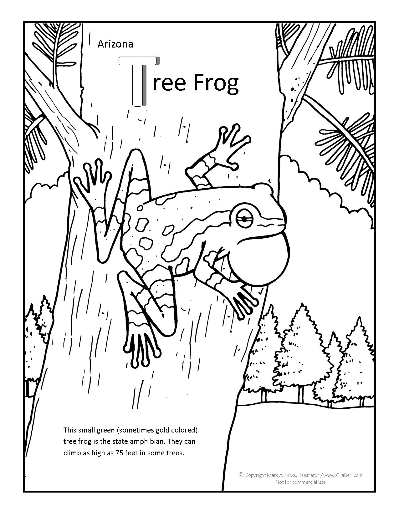 1275x1650 Arizonatreefrogcoloringpage Tree Frog Coloring Page Coloring Pages