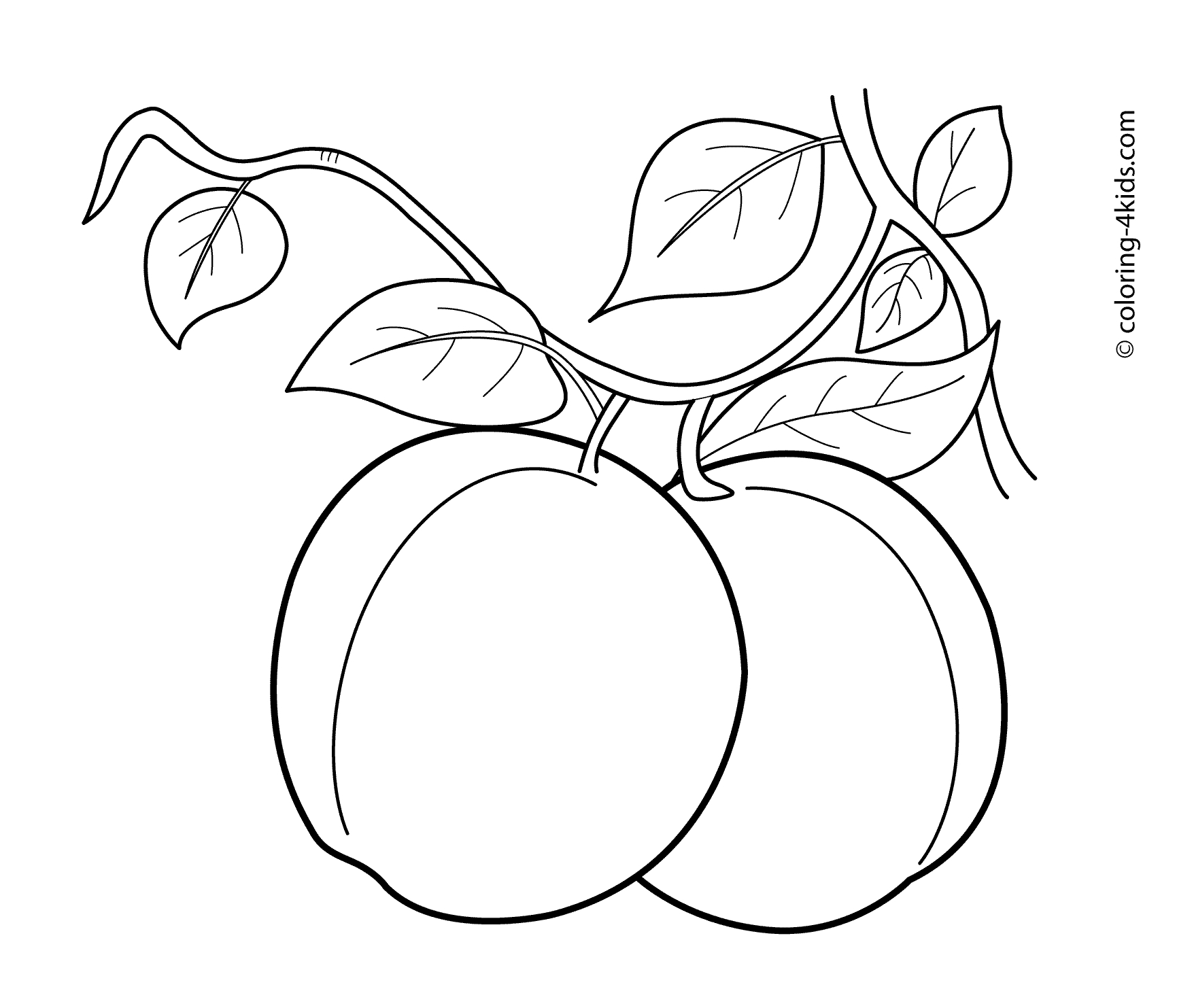 1756x1483 Fresh Peach Fruit Coloring Pages Gallery Printable Coloring Sheet