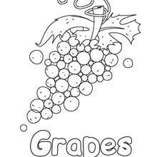 220x220 Fruit Coloring Pages