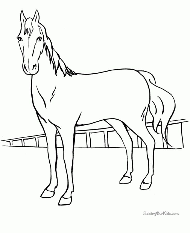 735x900 Printable Horse Coloring Pages Animal Coloring Pages