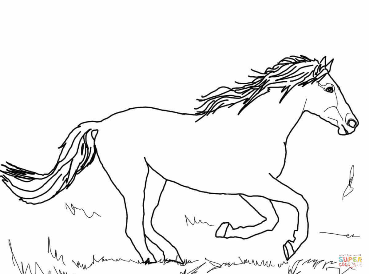 1200x890 Beautiful Mustang Horse Coloring Page Free Printable Coloring