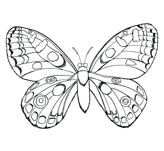 571x525 Insects Coloring Pages Bugs Coloring Page Free Printable Insect