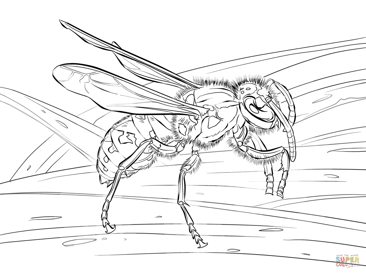 1199x899 Unique Design Insect Coloring Pages
