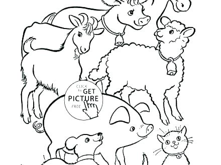 440x330 Jungle Animals Coloring Pages Plus Jungle Animals Coloring Page