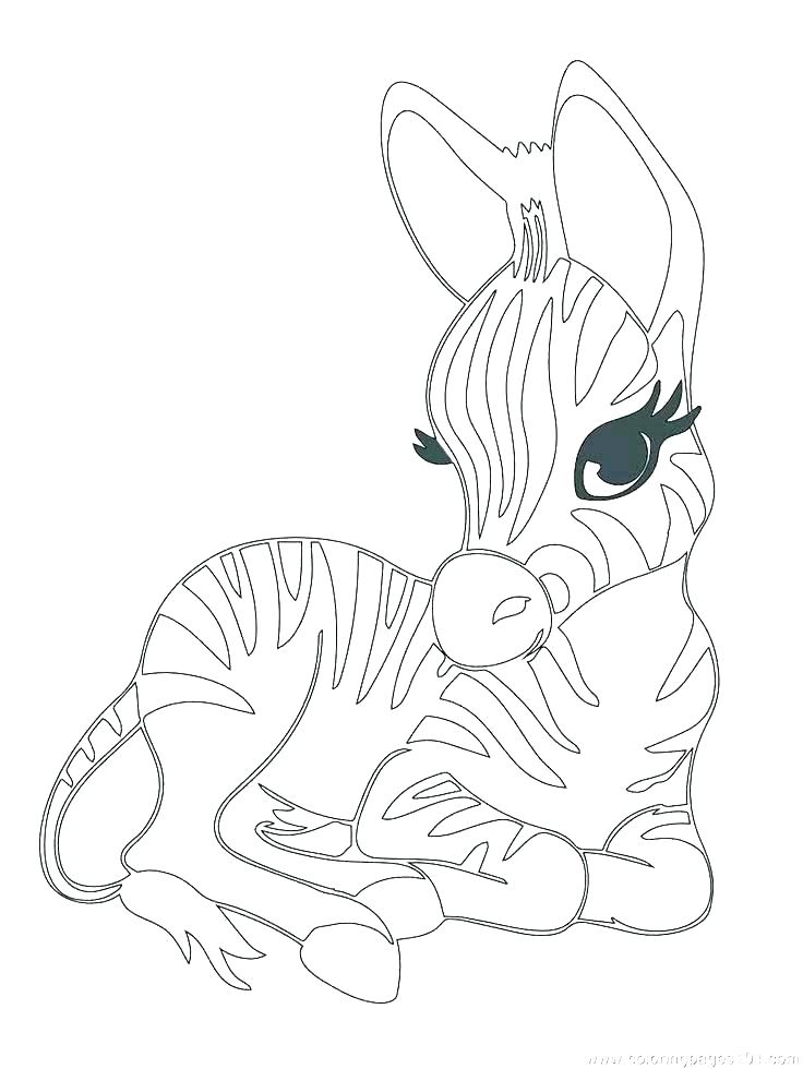 736x980 Animal Coloring Pages Free