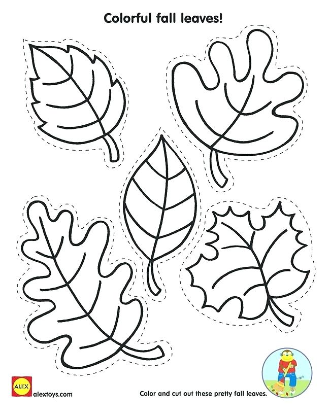 650x826 Autumn Leaves Coloring Page Printable Leaves Coloring Pages