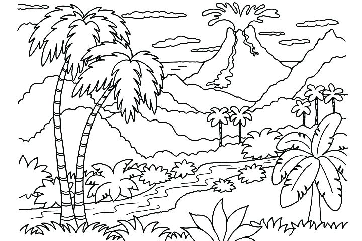720x480 Free Nature Coloring Pages Bird Nest Coloring Pages Free Printable