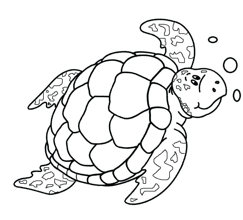 850x770 Ninja Turtles Coloring Pages For Kids