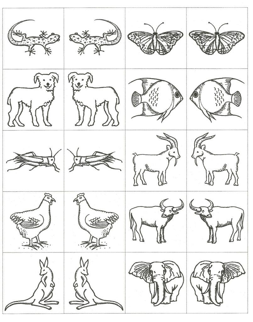 805x1025 Noah's Ark Coloring Page
