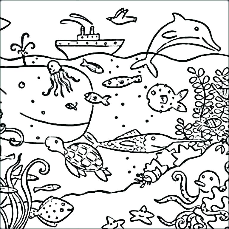 768x768 Ocean Animal Printable Coloring Pages Ocean Habitat Coloring Pages