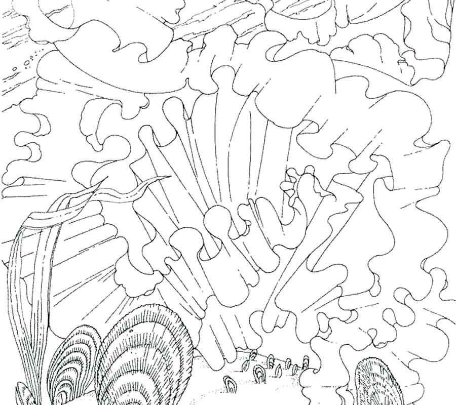 900x800 Ocean Scene Coloring Pages Ocean Scene Coloring Pages Ocean Scene