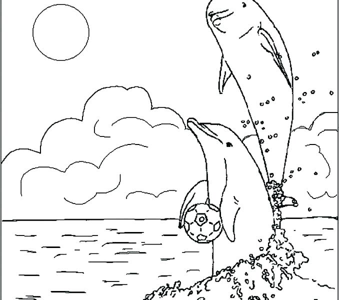678x600 Ocean Coloring Pages