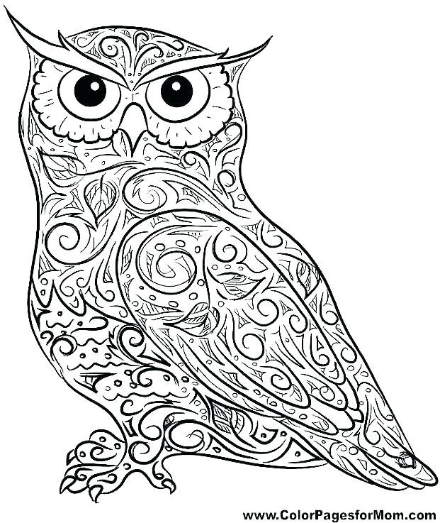621x737 Owl Coloring Pages Free Owl Coloring Page Printable Owls Coloring