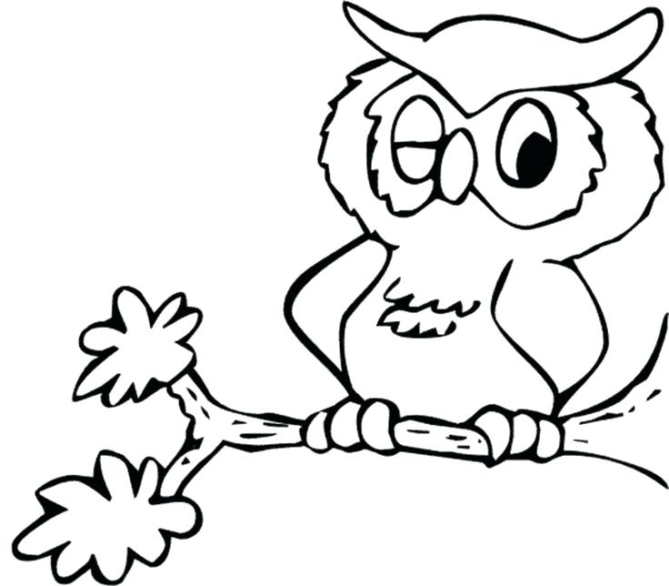 736x644 Owl Coloring Pages To Print Printable Owl Coloring Page Owl