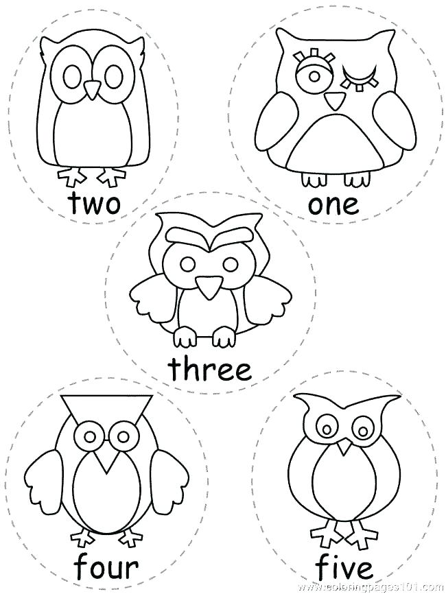 650x866 Coloring Pages Animals Printable Owl Coloring Pages As Well As