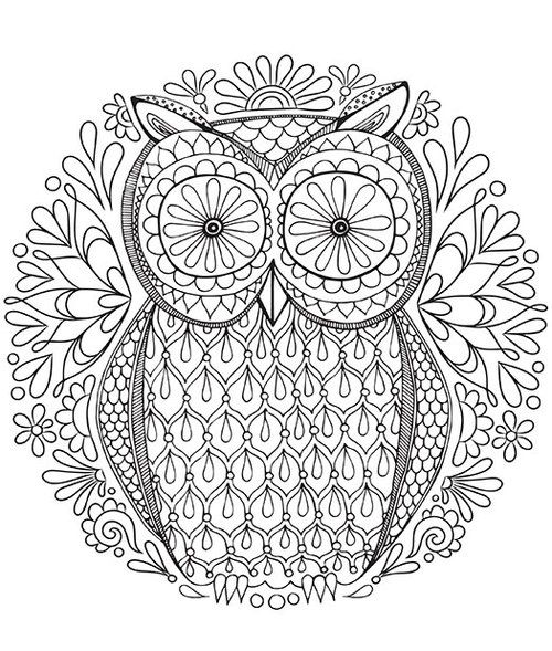 500x589 Best Owl Coloring Pages Images On Owls, Mandalas