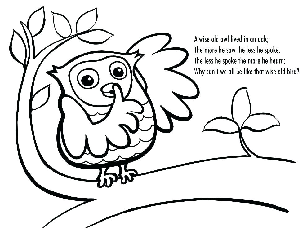 990x765 Printable Owl Coloring Pages Sweet Inspiration Barn Owl Coloring