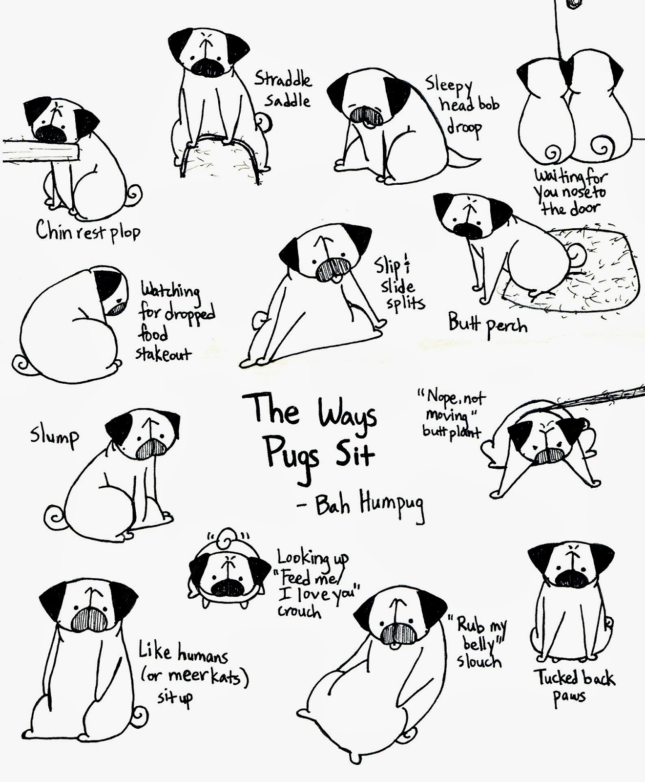 Printable Pug Coloring Pages