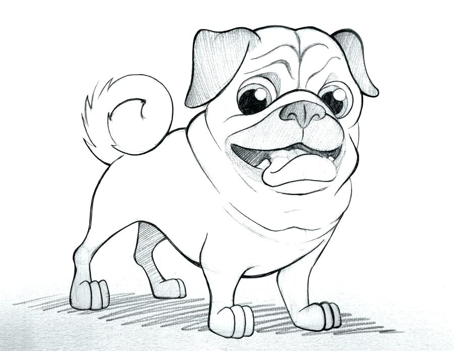 900x696 Pug Coloring Page Pug Coloring Pictures Epic Pug Coloring Page