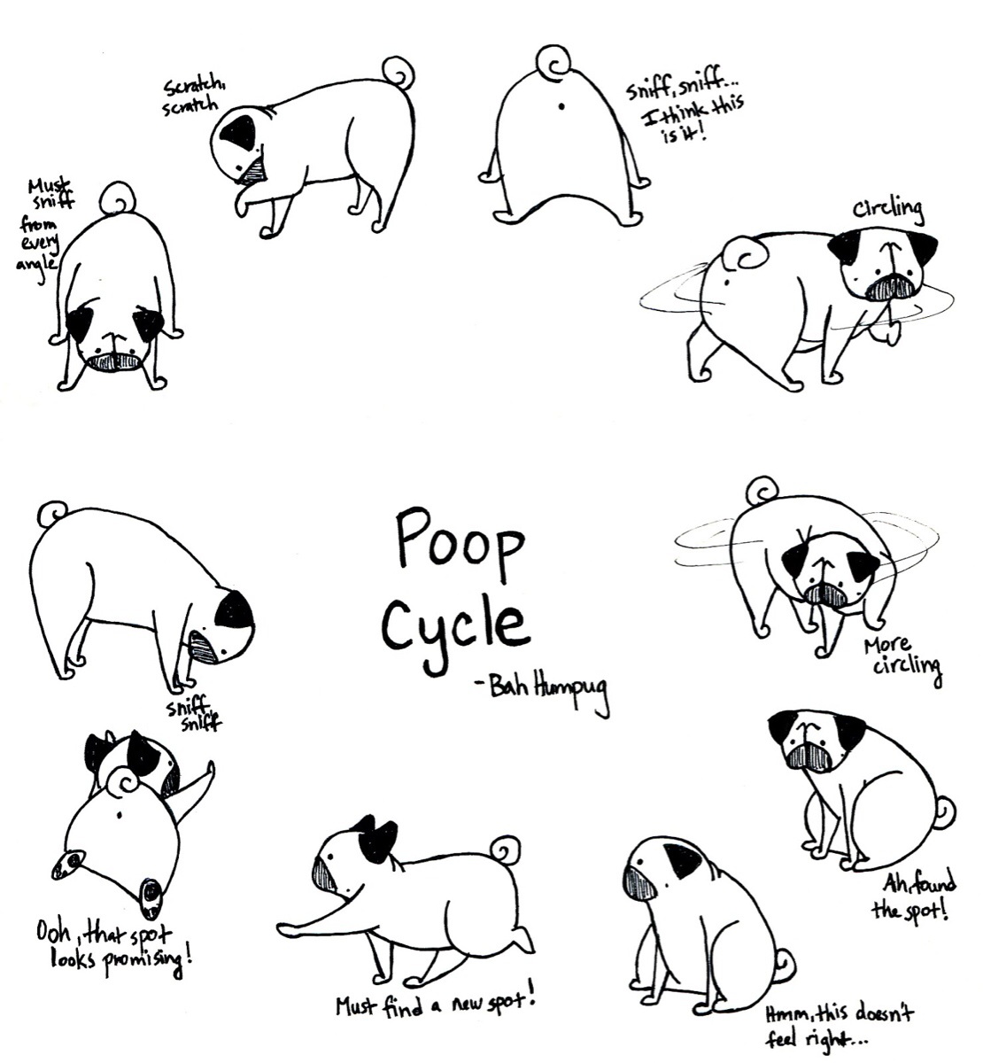 1110x1200 Baby Pug Coloring Pages To Print For Kids And Adults Org