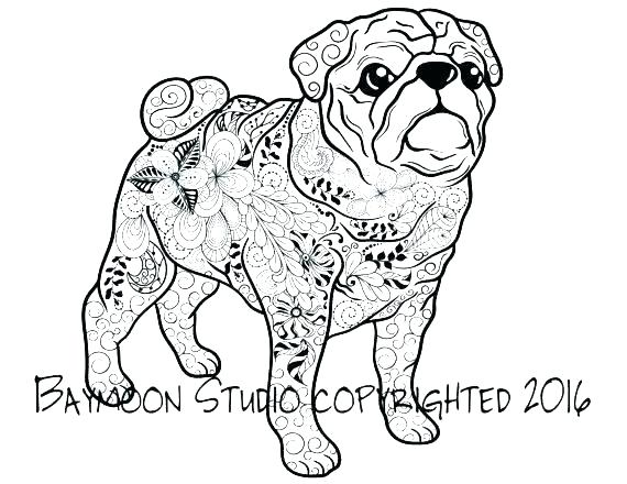 570x440 Pug Coloring Pages Printable Pug Puppy Coloring Pages Pug Coloring