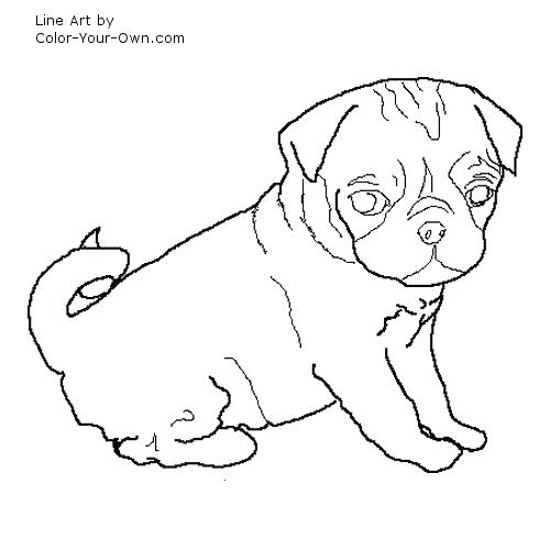 500x500 Pug Coloring Pages Pug Coloring Page Pug Coloring Page Pugs