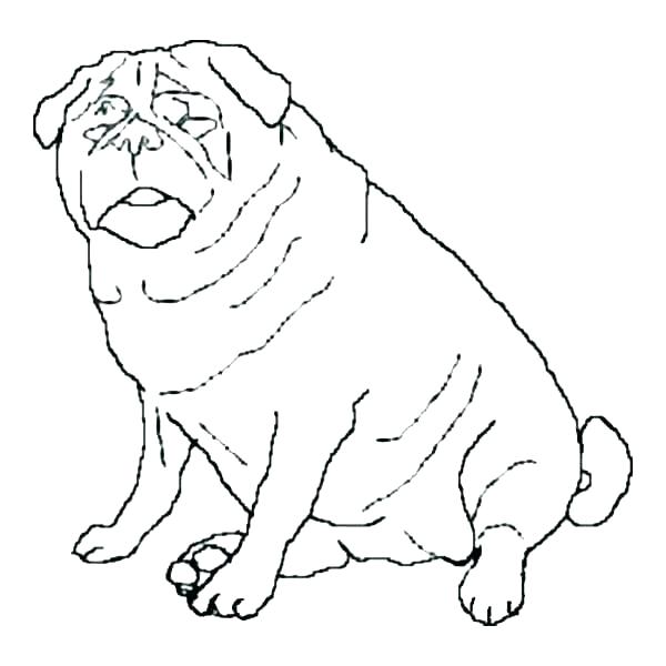 600x600 Pug Coloring Pages Pug Colouring Pages Printable Coloring Cute