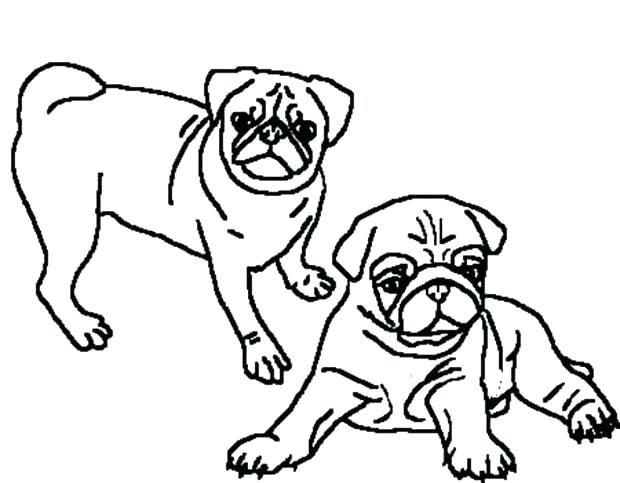 620x483 Pug Colouring Pages Printable Coloring Page In Jumper
