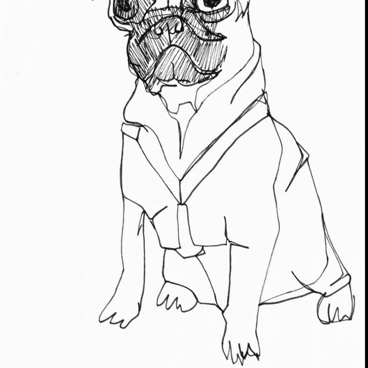 1224x1224 Remarkable Pug Coloring Pages For Adults Kids Pics Free Printable