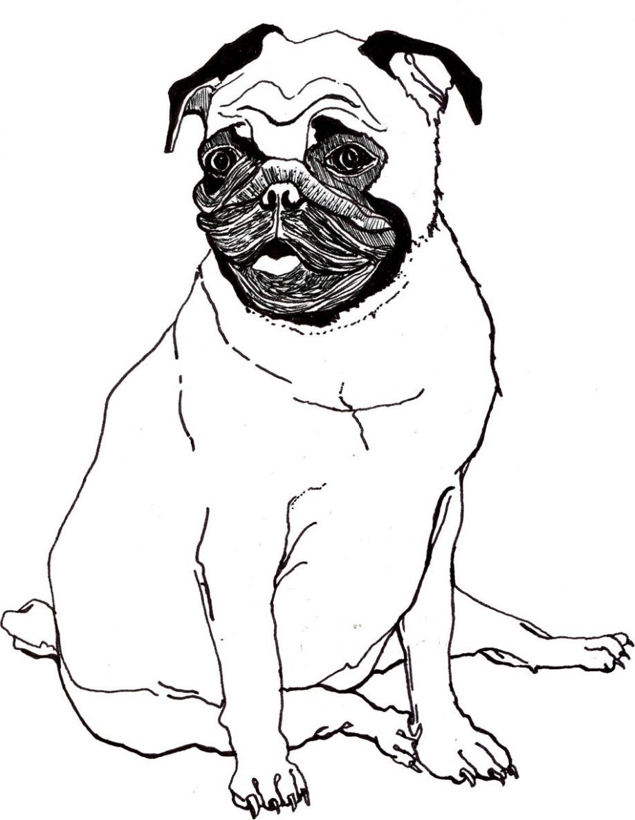 918x1185 Printable Pug Coloring Pages Free Pug Coloring Sheets Kids