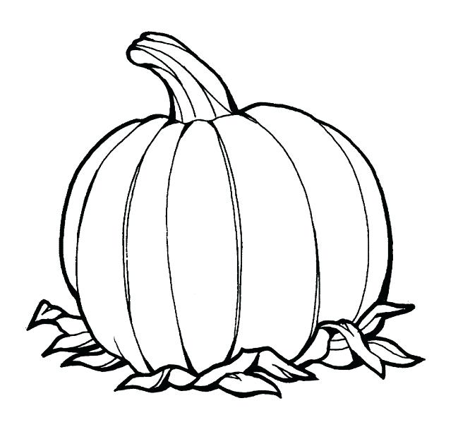 666x605 Printable Pumpkin Coloring Page From Click Printable Pumpkin