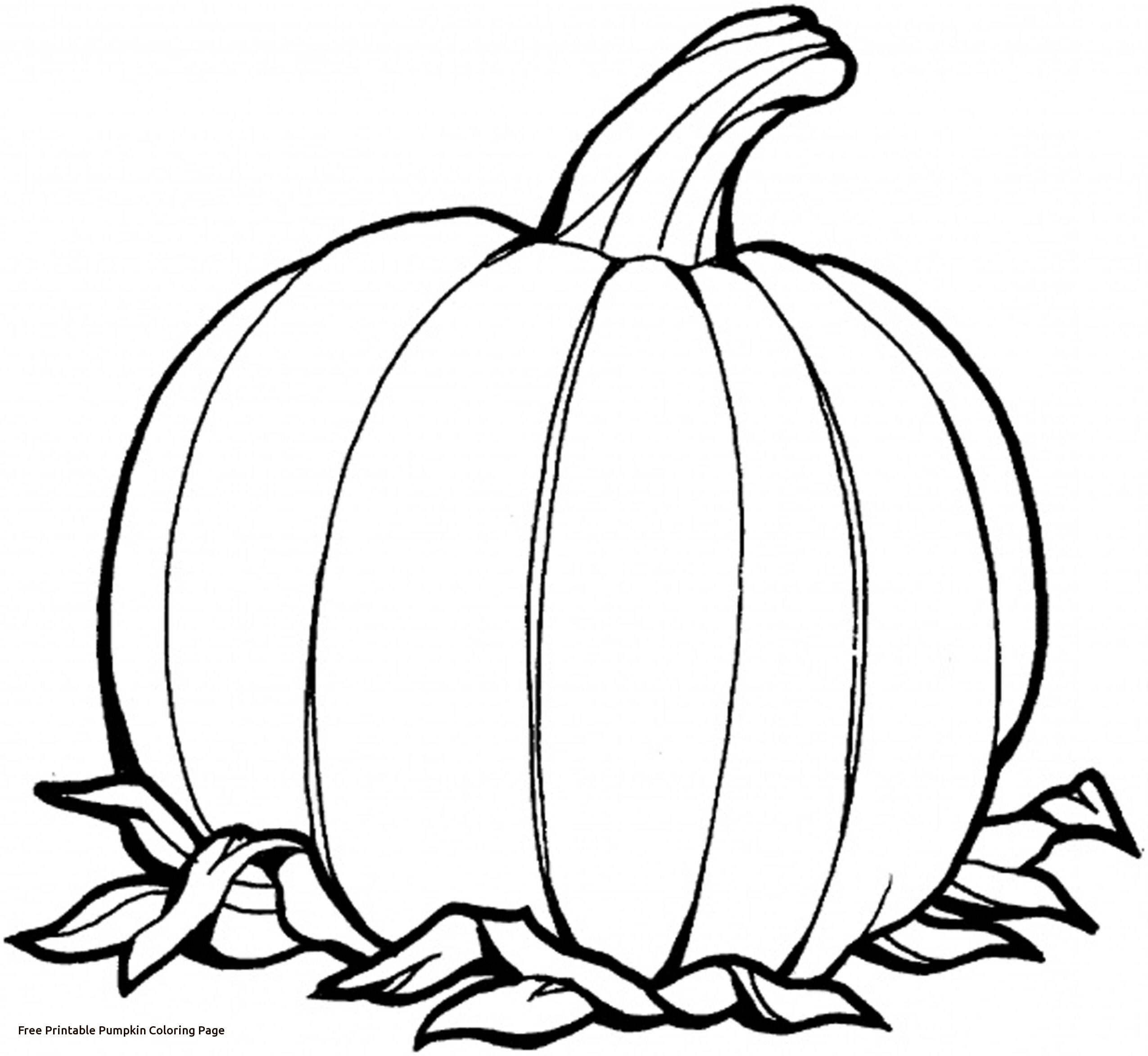 2550x2345 Sensational Free Printable Pumpkin Pictures Co
