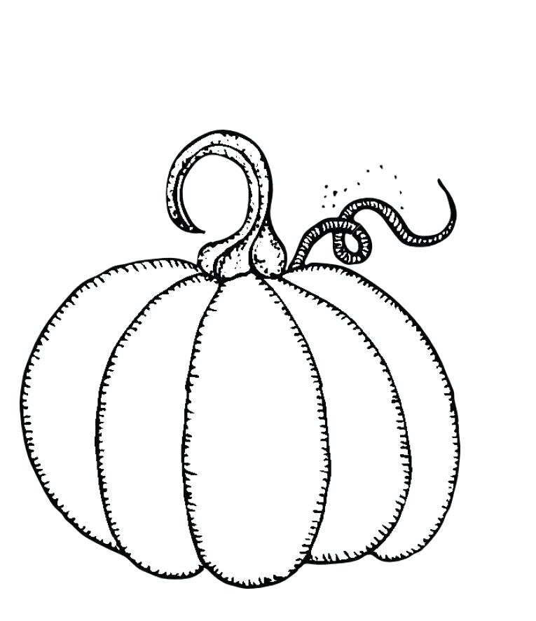 765x886 Mini Pumpkin Coloring Pages