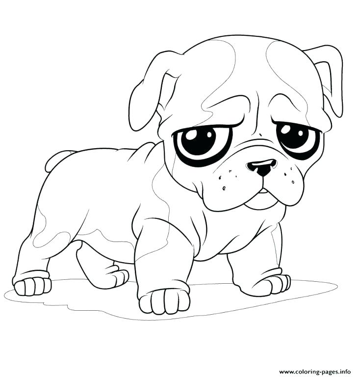 728x768 Puppies Coloring Page Printable Puppy Coloring Pages Printable