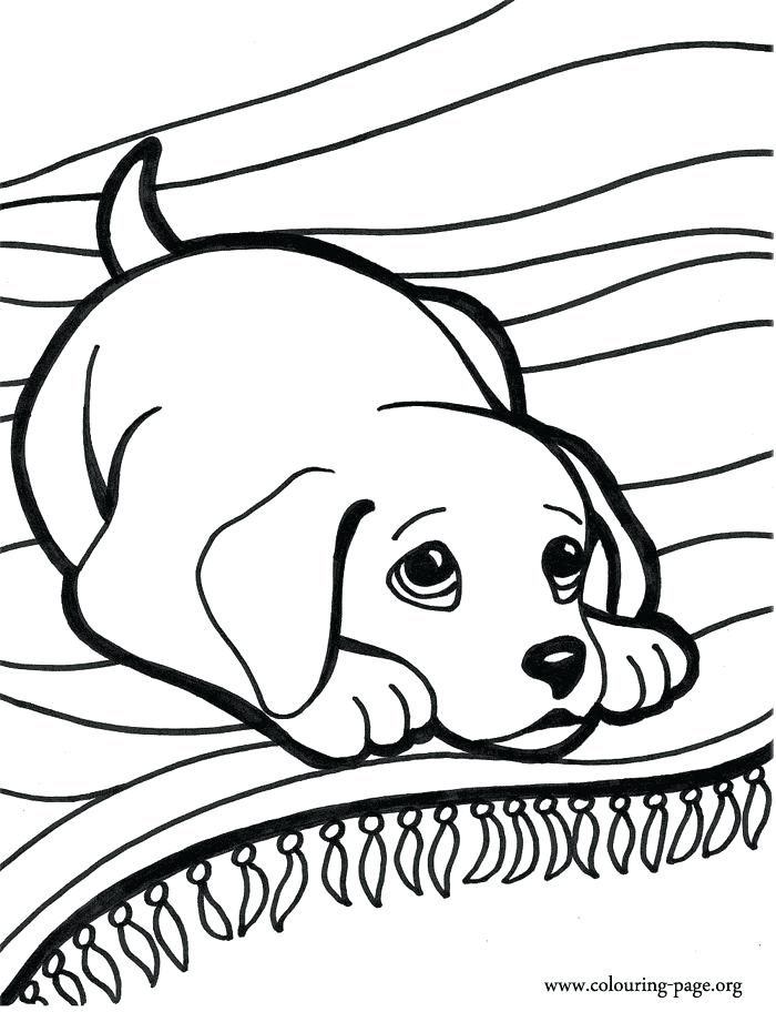 700x912 Puppy Color Pages Puppy Coloring Page For Adults Printable Puppy