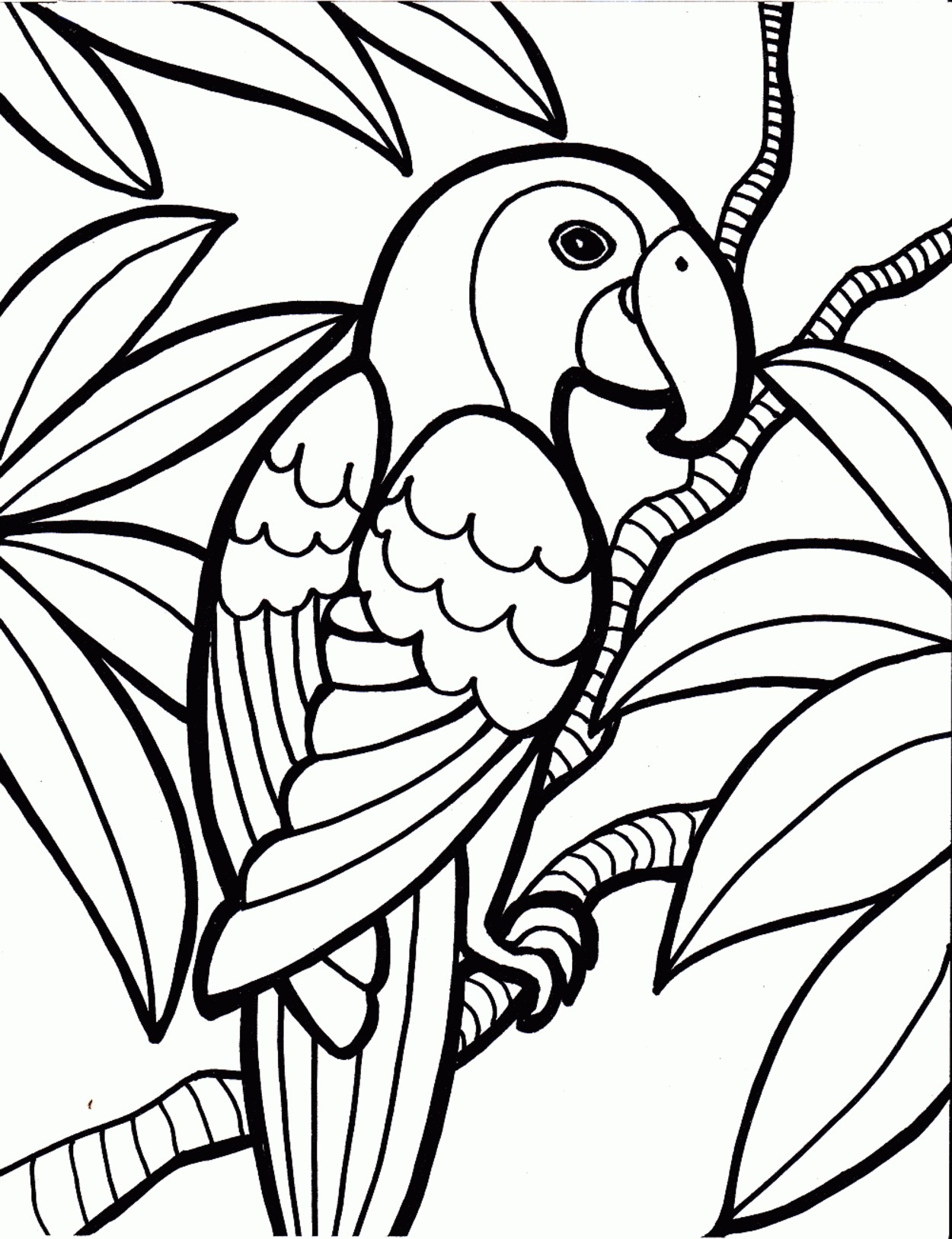 1250x1626 New Rainforest Coloring Pages To Print