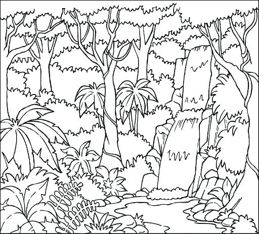512x463 Printable Rainforest Coloring Pages Printable Free Printable