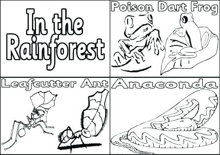448x317 Rainforest Coloring Pages To Print Rain Forest Coloring Pages