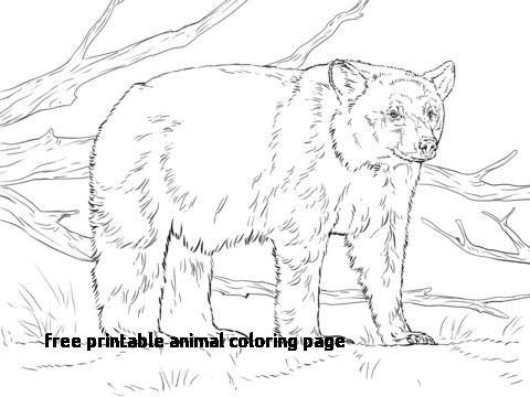 480x360 Intricate Kaleidoscope Coloring Pages New Coloring Pages For Free