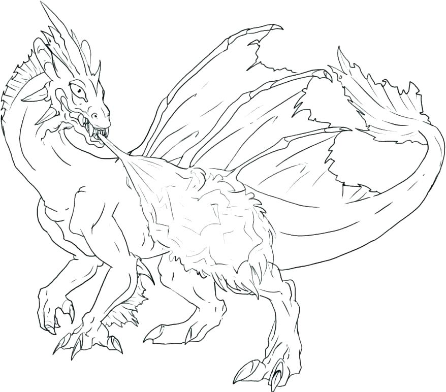 878x772 Realistic Coloring Pages Of Animals Realistic Animal Coloring