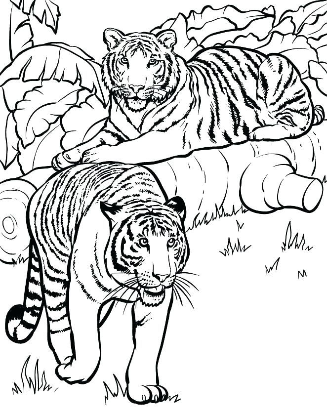 662x842 Wildlife Coloring Pages Animal Coloring Pages To Print Safari